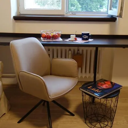 Academic Apartment Brno