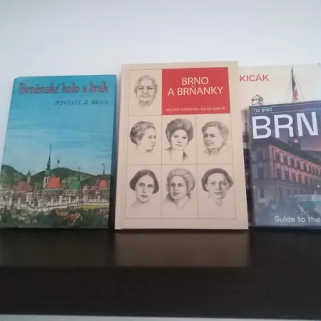 Apartment Academic Brno