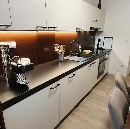 Academic Apartment Brno