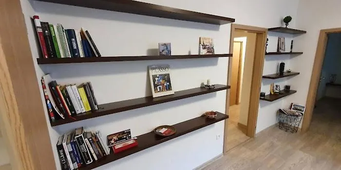 Academic Brno